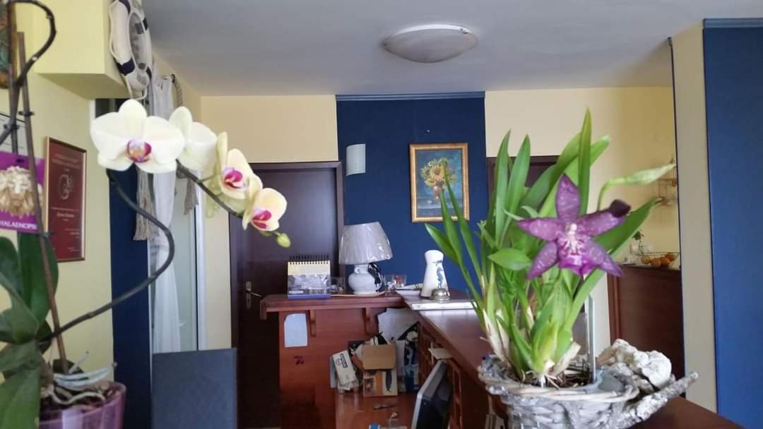 Hotel Lozite Σωζόπολη Εξωτερικό φωτογραφία